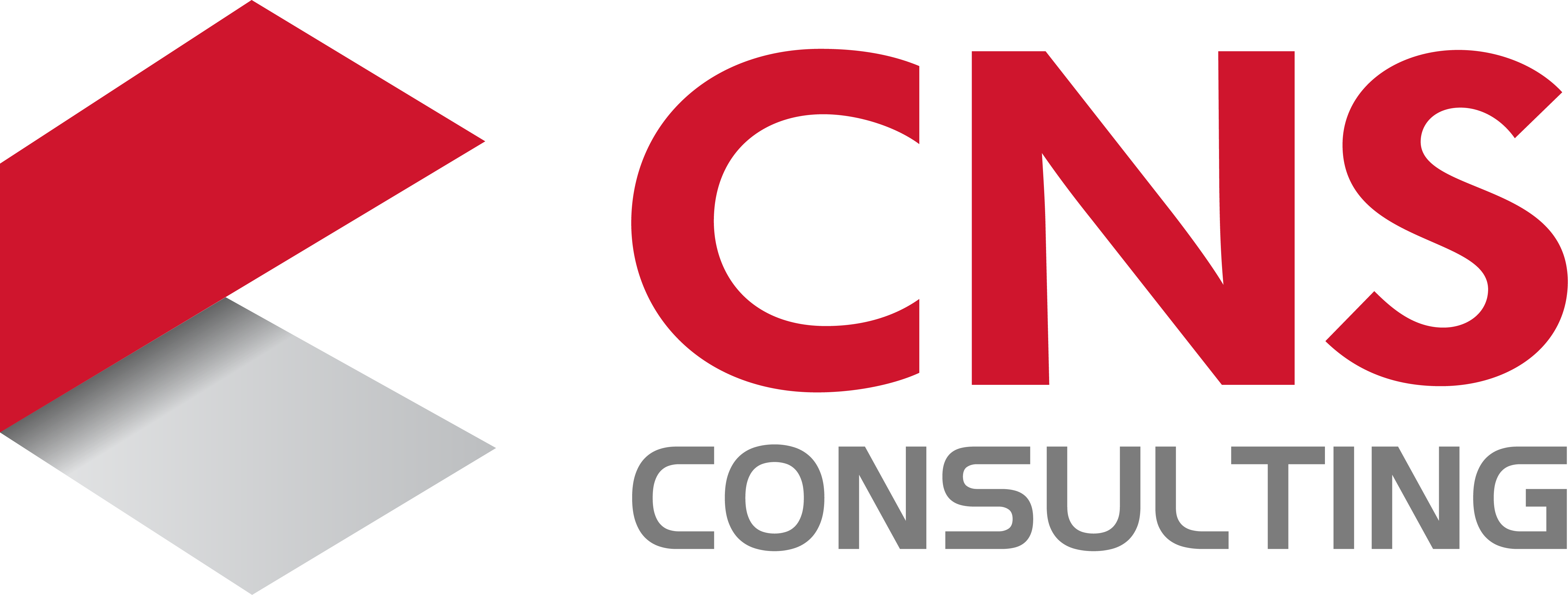 CNS_Logo